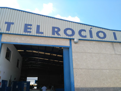 Desguace El Rocío II